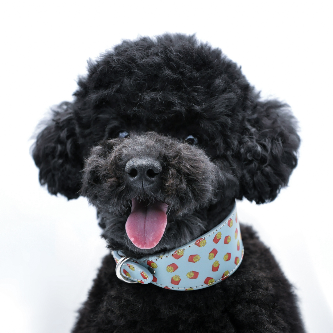 Dogs that don t shed Collar of Sweden