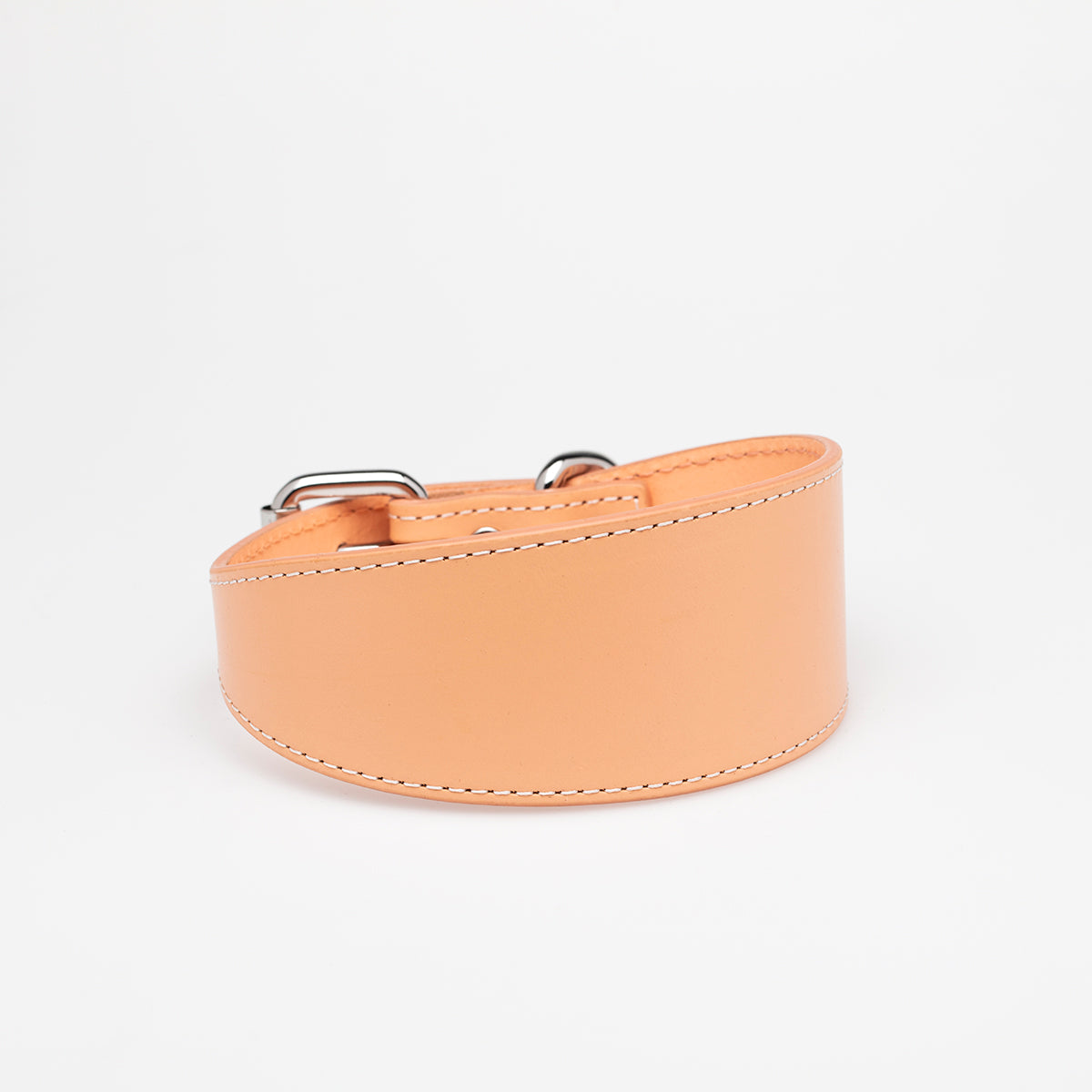 apricot-dog-collar-medium-wide.jpg