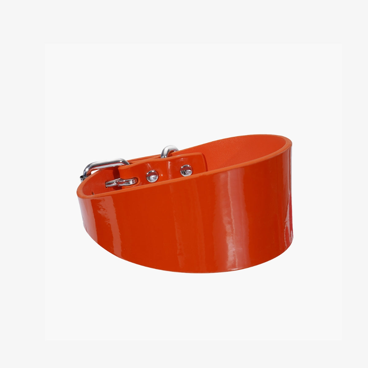 glossy-orange-dog-collar-medium-wide.jpg