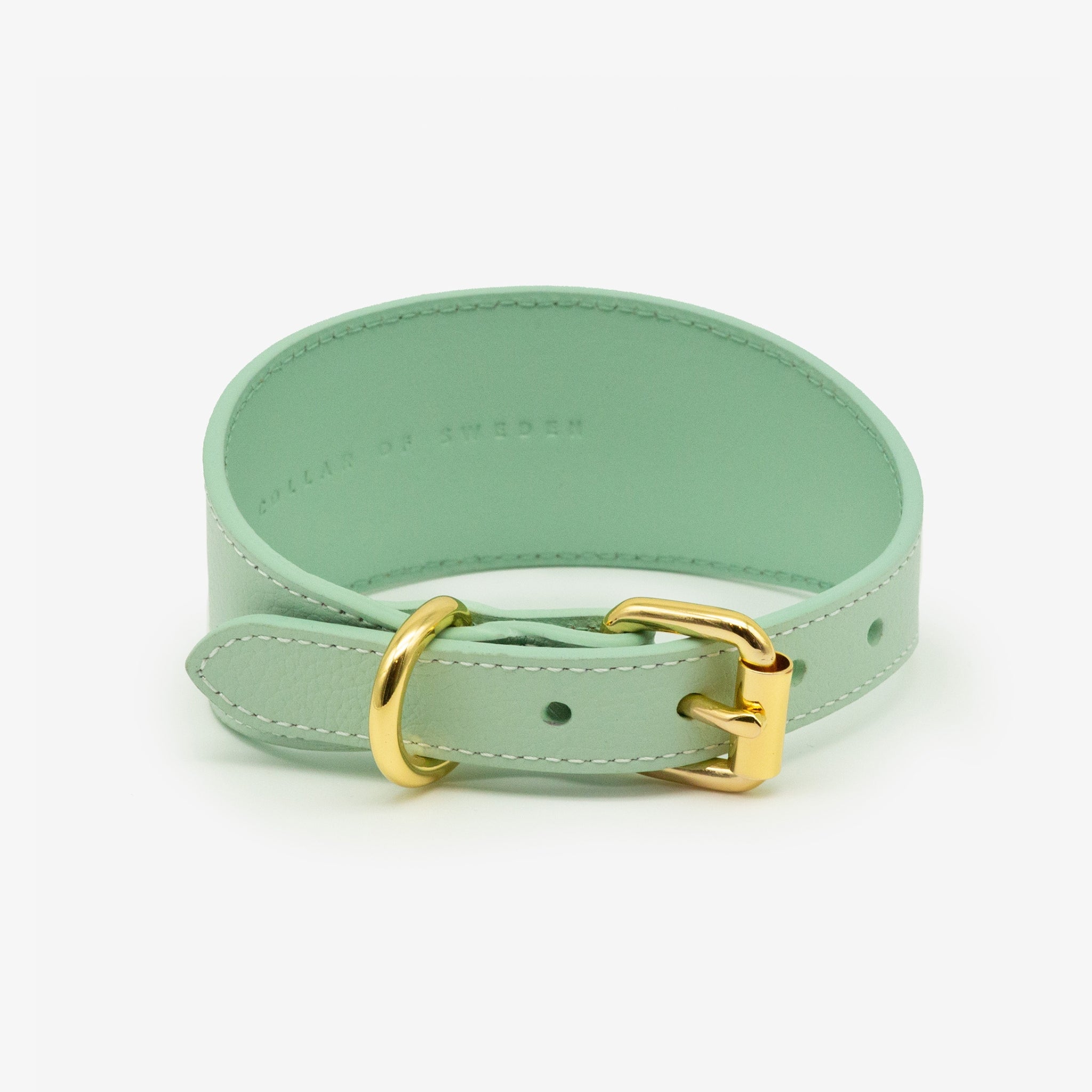 Mint Dog Collar Wide | Collar of Sweden