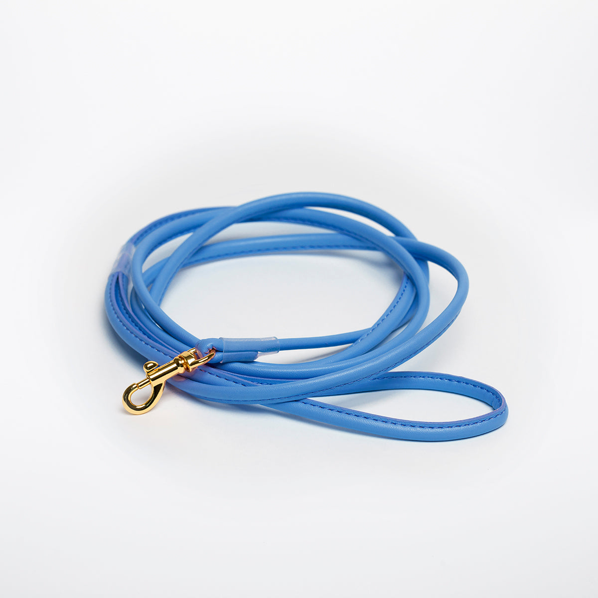 neon-blue-dog-leash-small.jpg