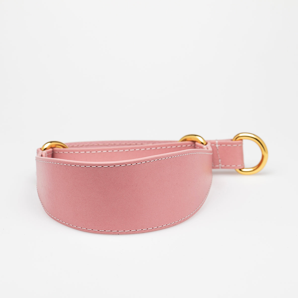 pink-martingale-collar-medium-wide.jpg