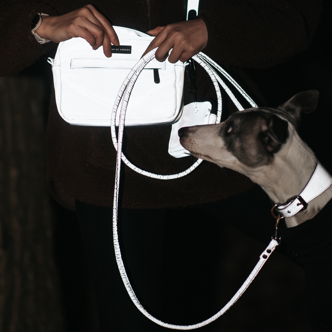 Reflective dog walking bag, collar and leash
