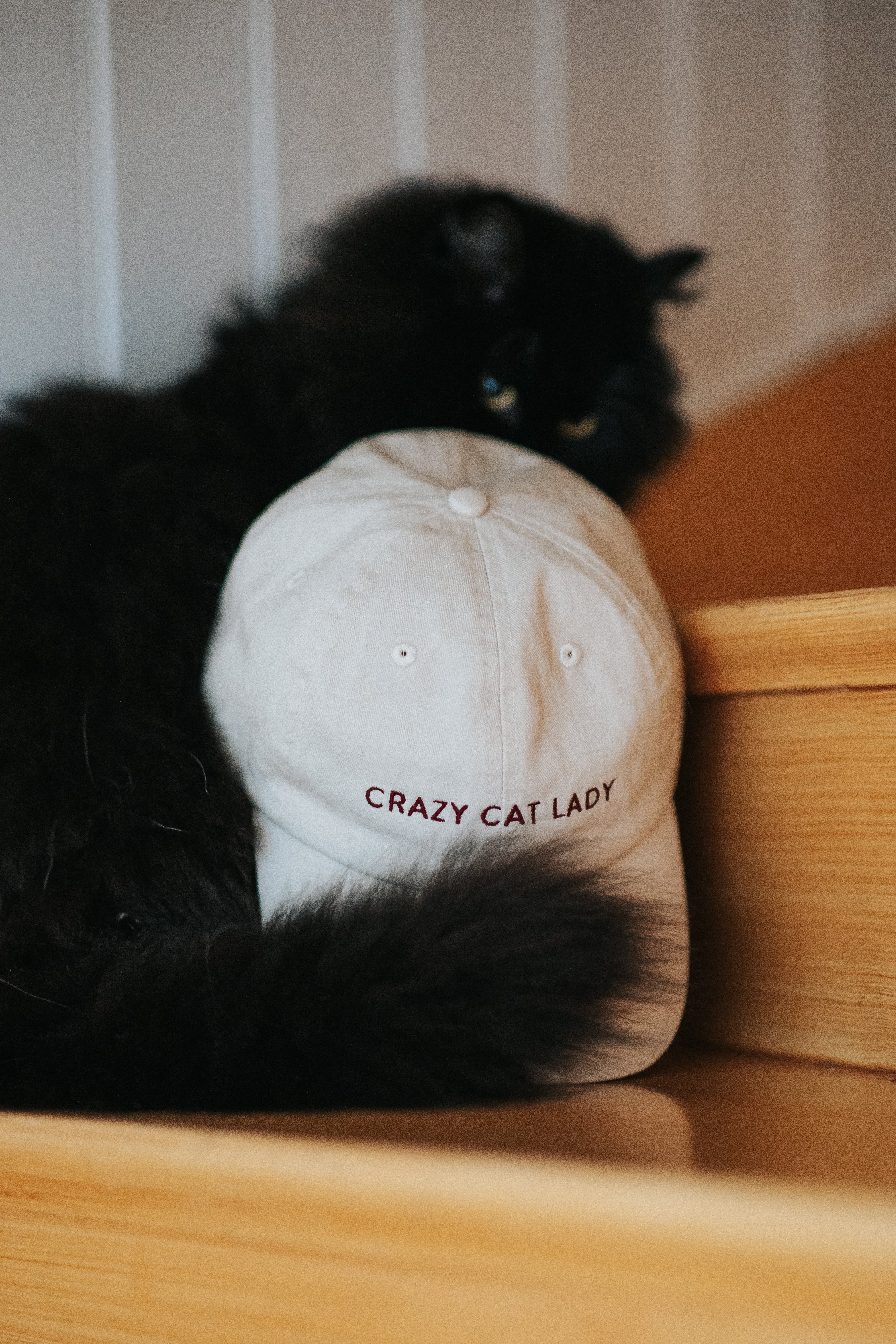 Beige Denim Cap - Crazy Cat Lady