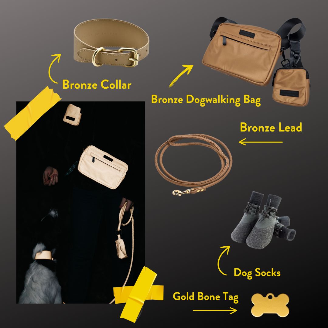 Bronze_Dog_Collar.jpg