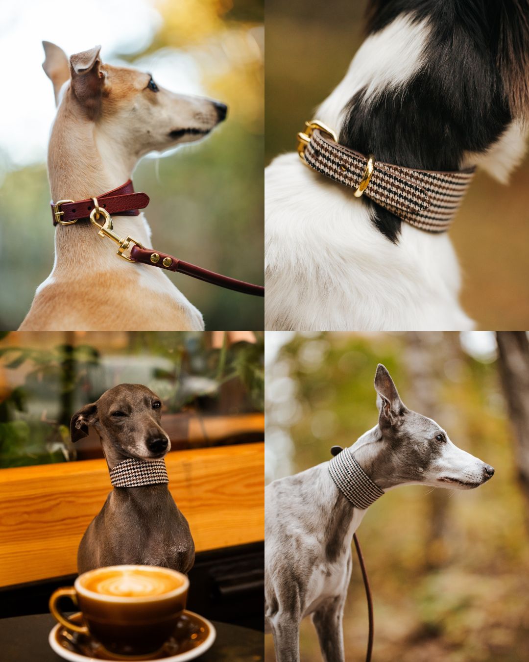 autumn-collection-hero-mobile-houndstoothh.jpg