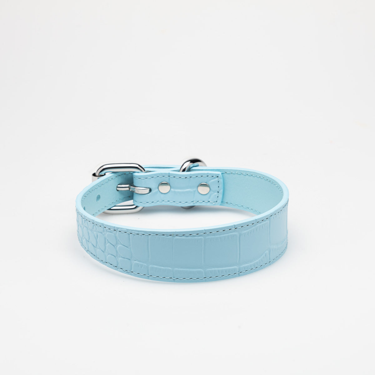 baby-blue-croco-dog-collar-medium-thin.jpg