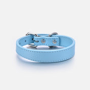 Collier pour chien Baby Blue Thin