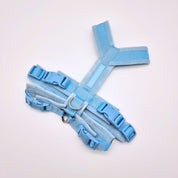 Baby Blue Y-Harness XS