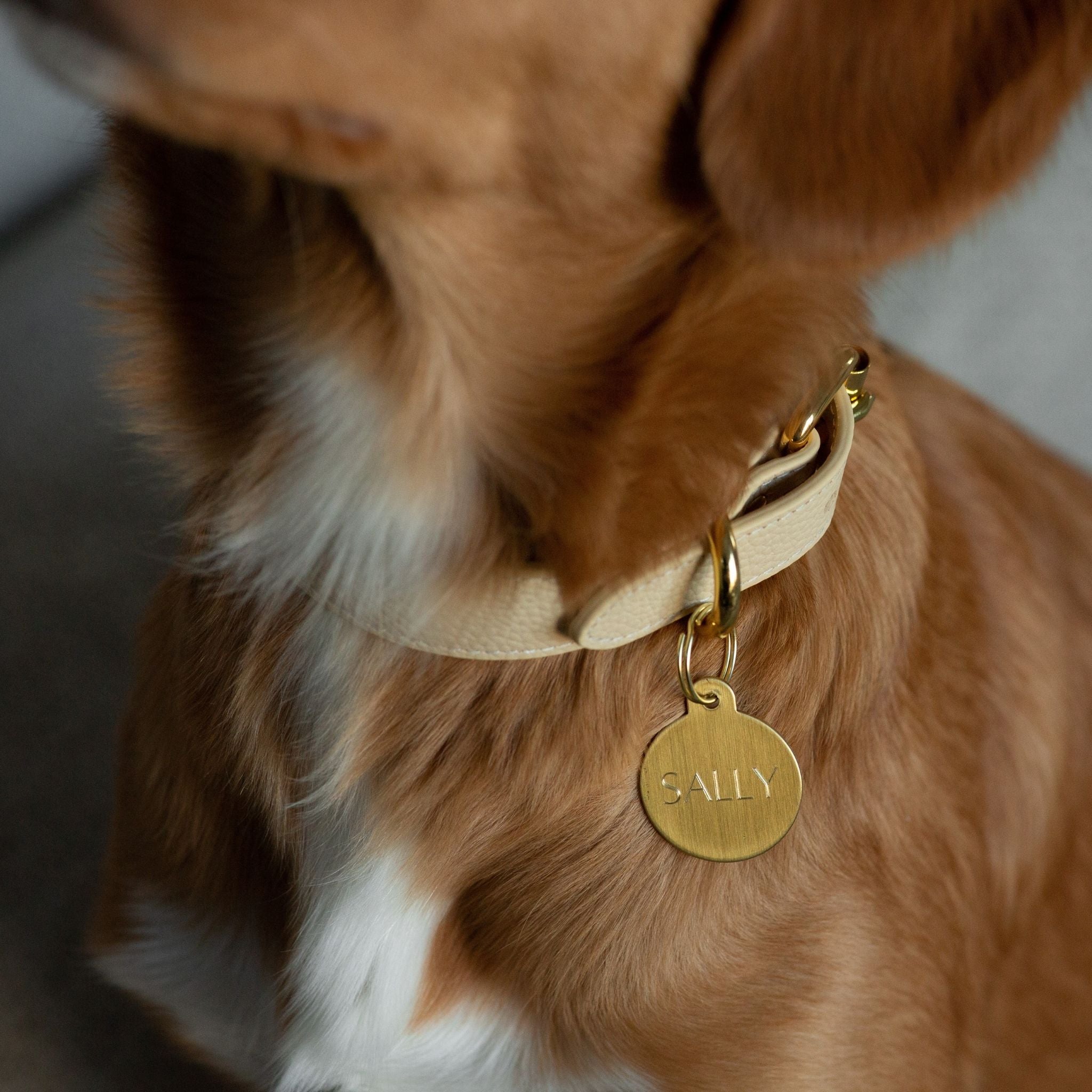 Beige Dog Collar Thin