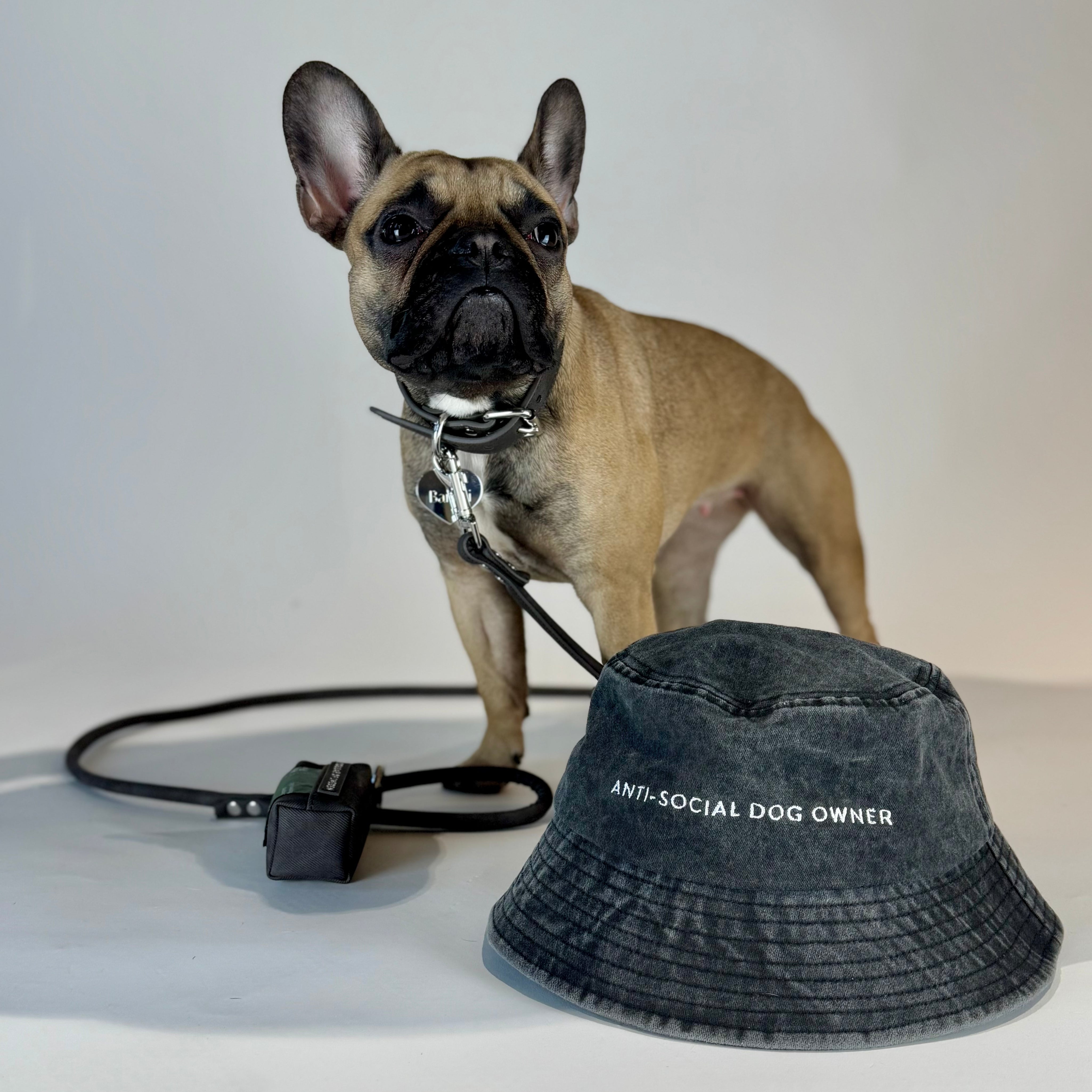 black-bucket-hat-french-bulldog.jpg