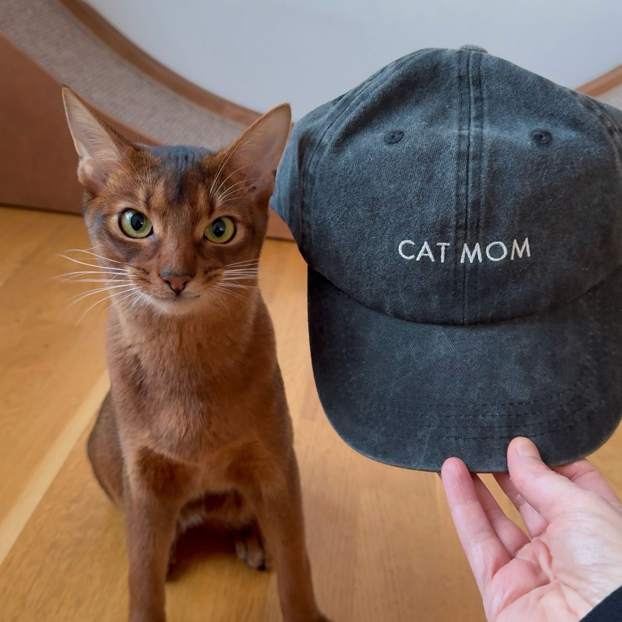 Trendy Black Denim Cap - "Cat Mom" Collar of Sweden Trendy Black Denim Cap - "Cat Mom" Collar of Sweden