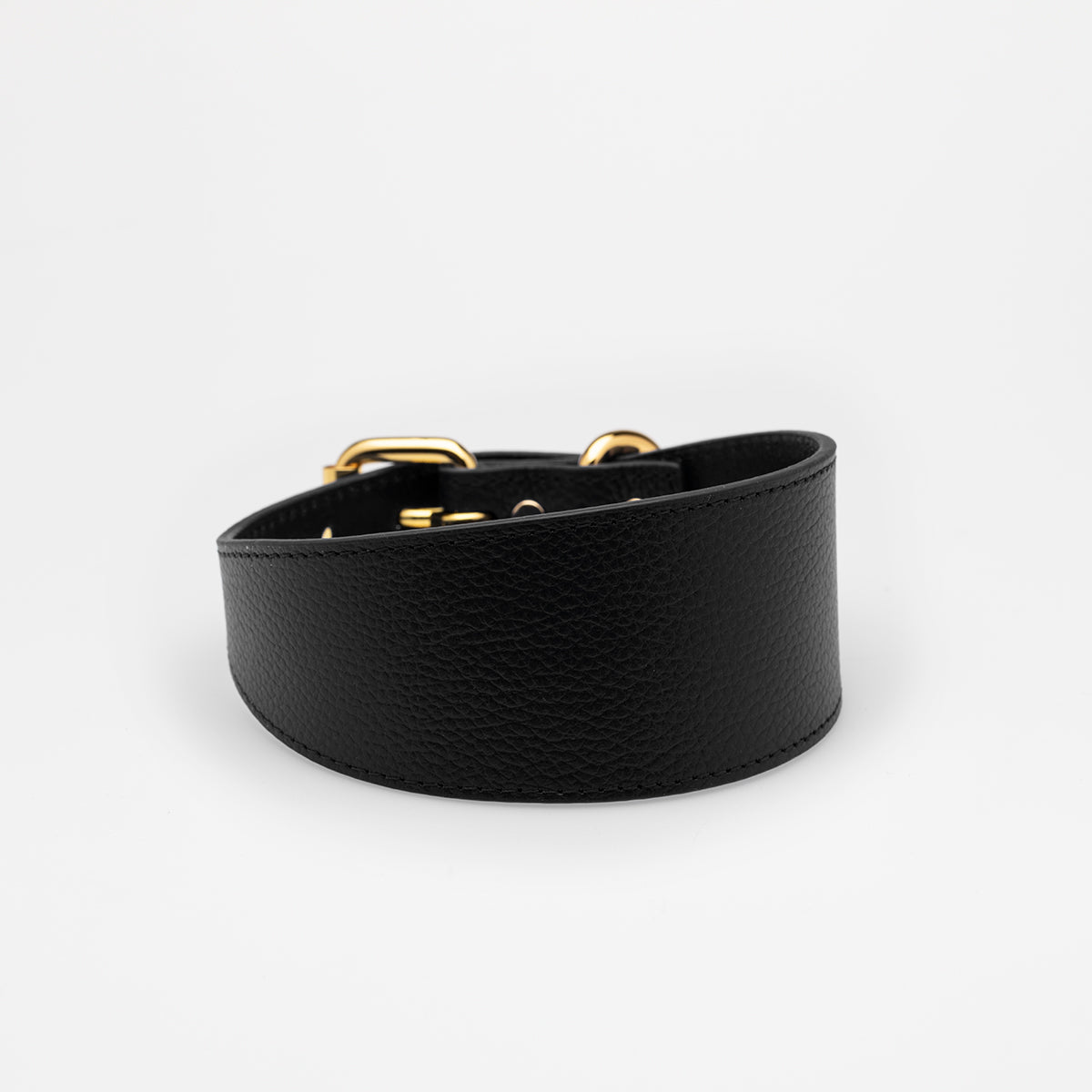 black-dog-collar-medium-wide.jpg