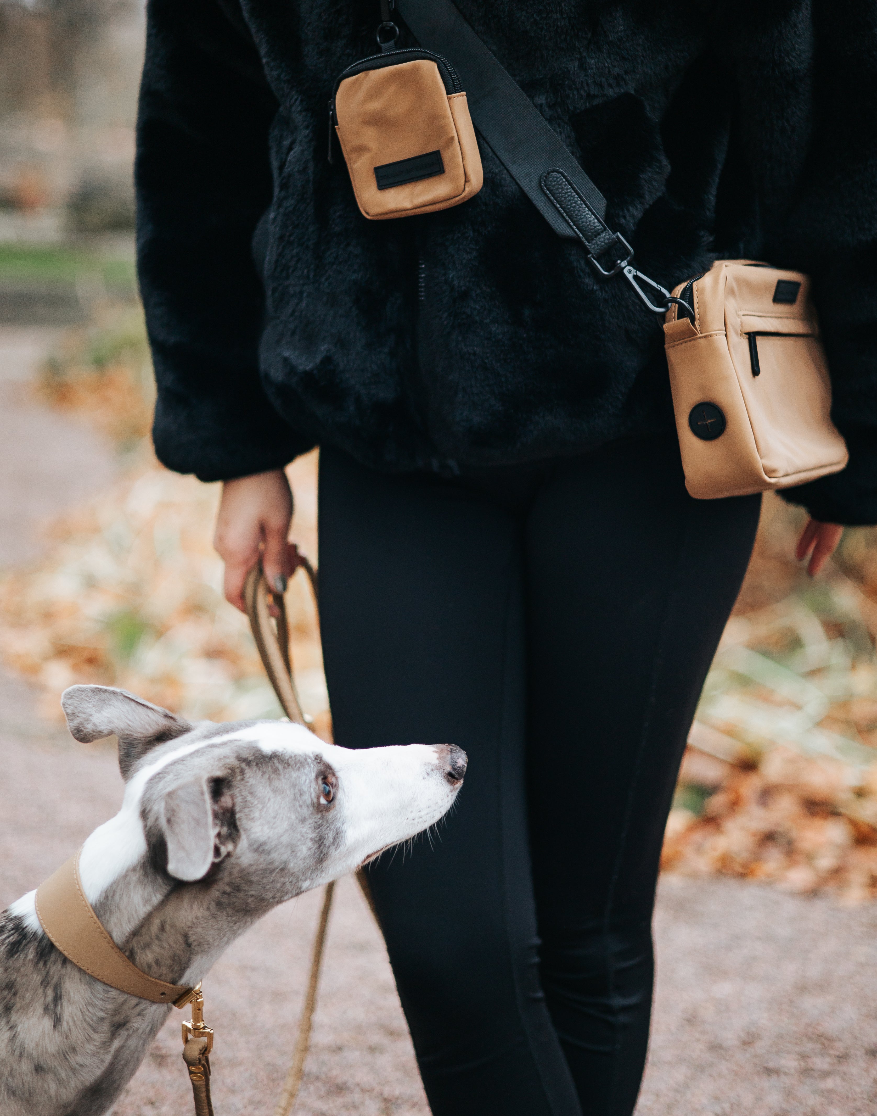 Trendy Reflective Bronze Dog Walking Bag - Crossbody | Collar of