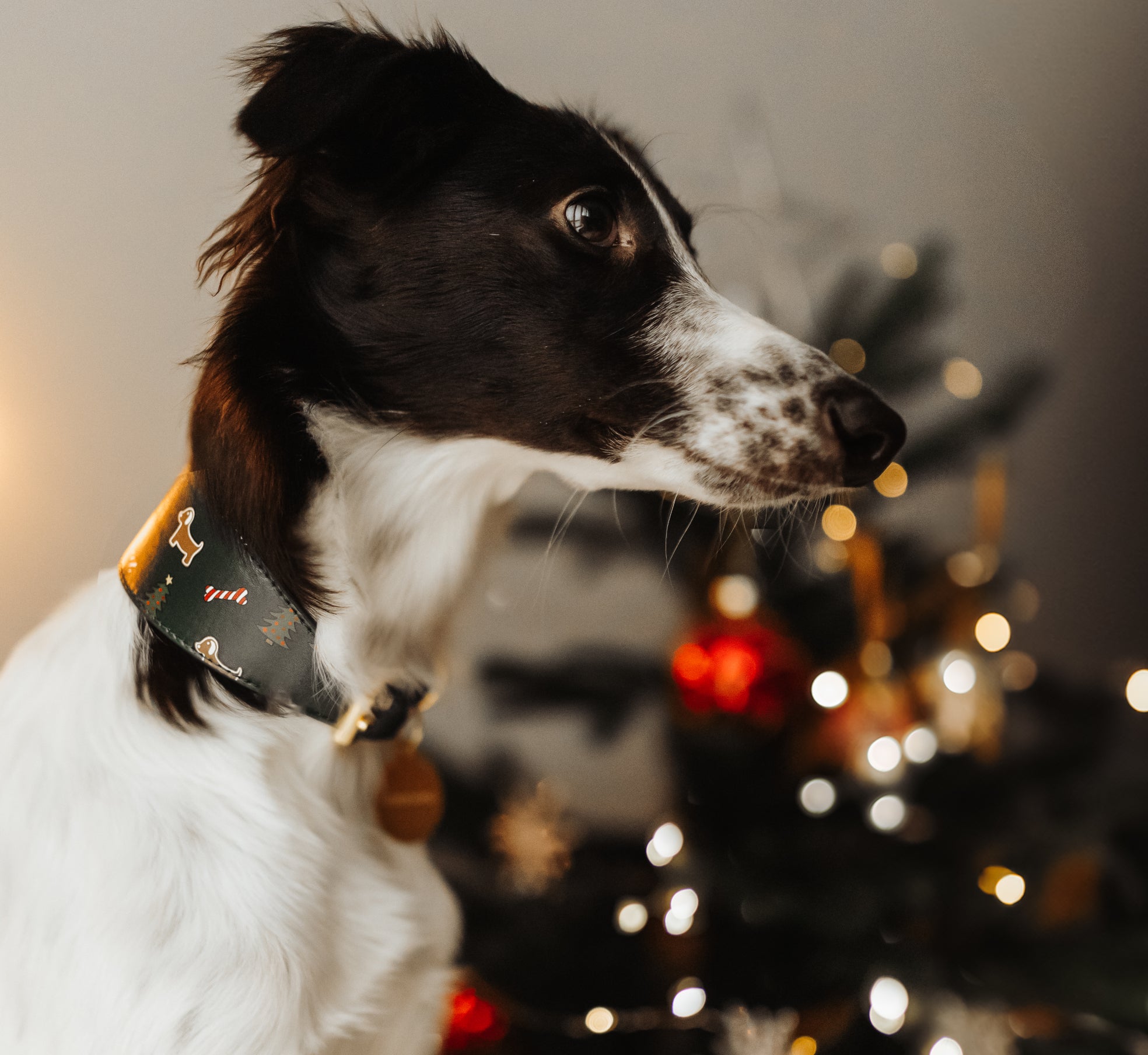 Christmas Dog Collar Wide