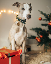 Christmas Dog Collar Wide