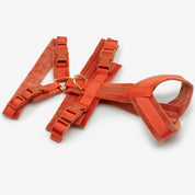 Cognac Y-Harness
