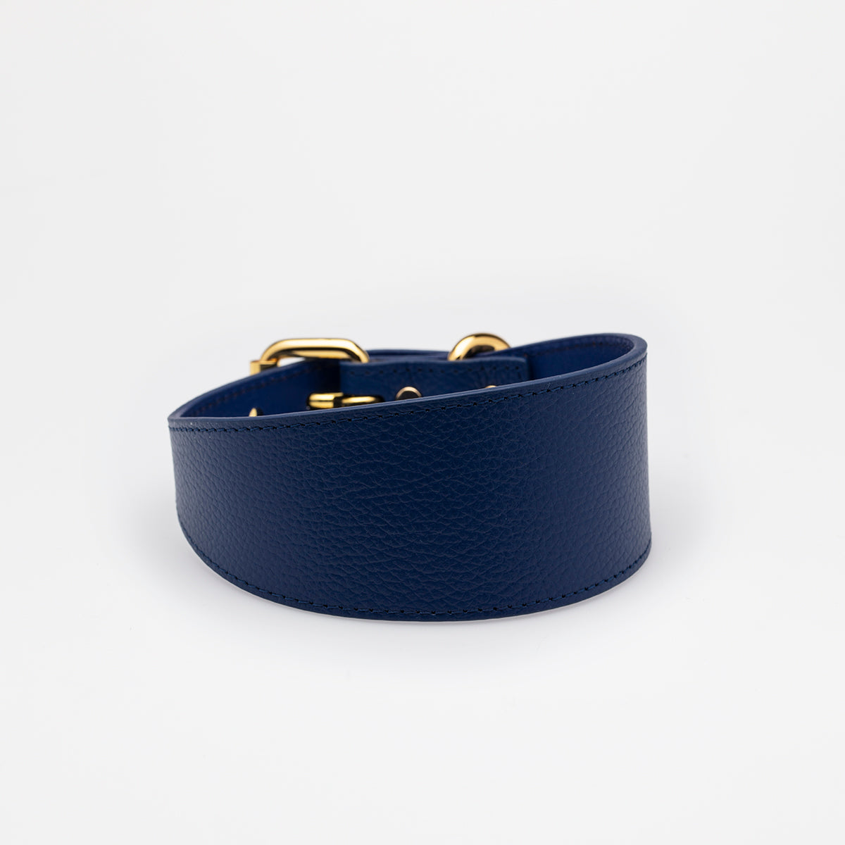 dark-blue-dog-collar-medium-wide.jpg