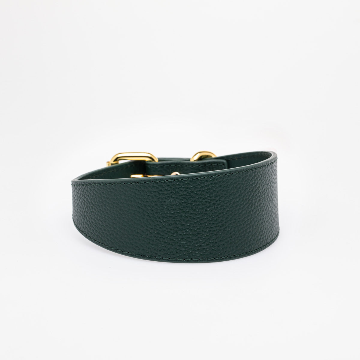 dark-green-dog-collar-medium-wide.jpg