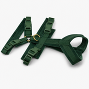 Dark Green Y-Harness