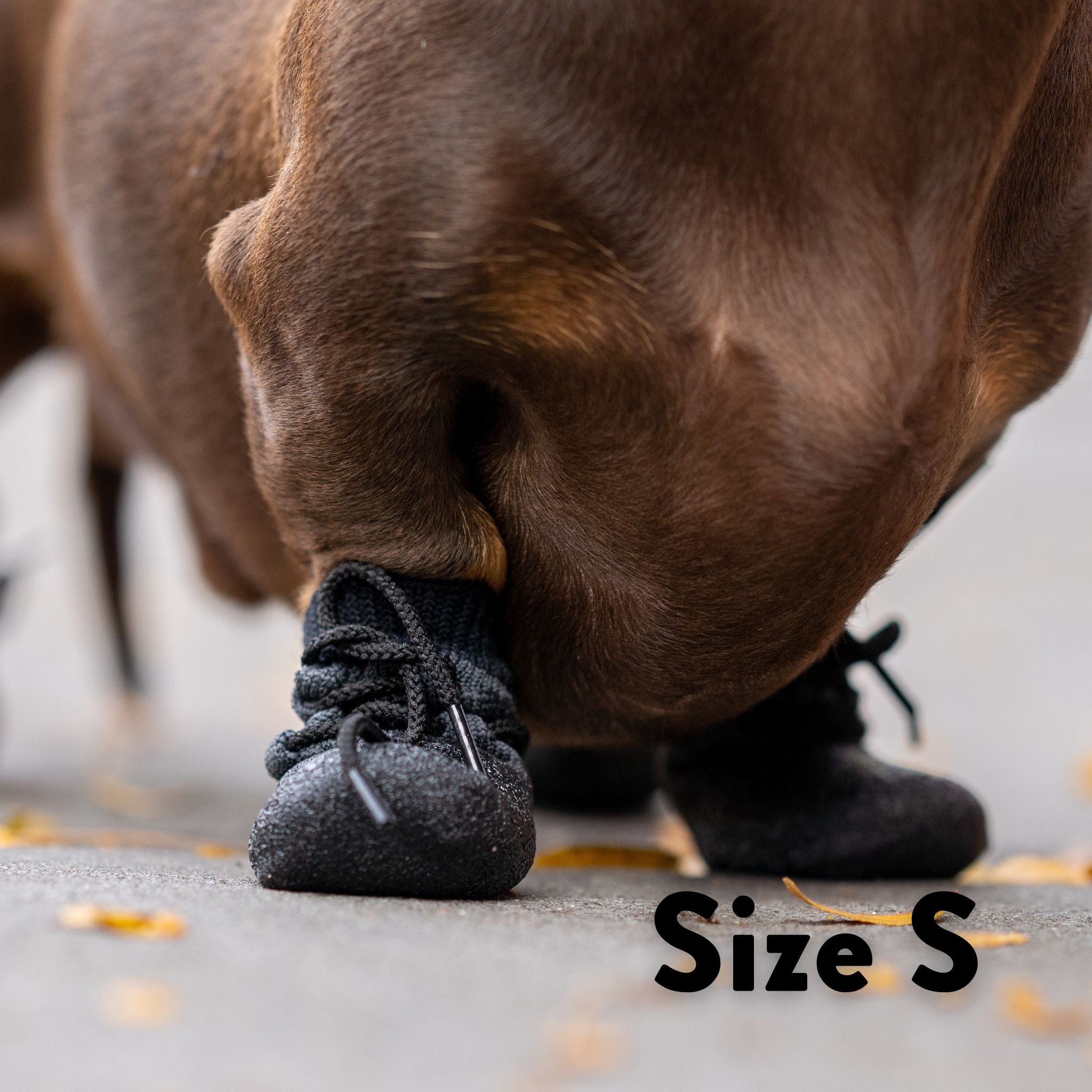 Dog Socks - Anti-slip sole | Collar of Sweden
