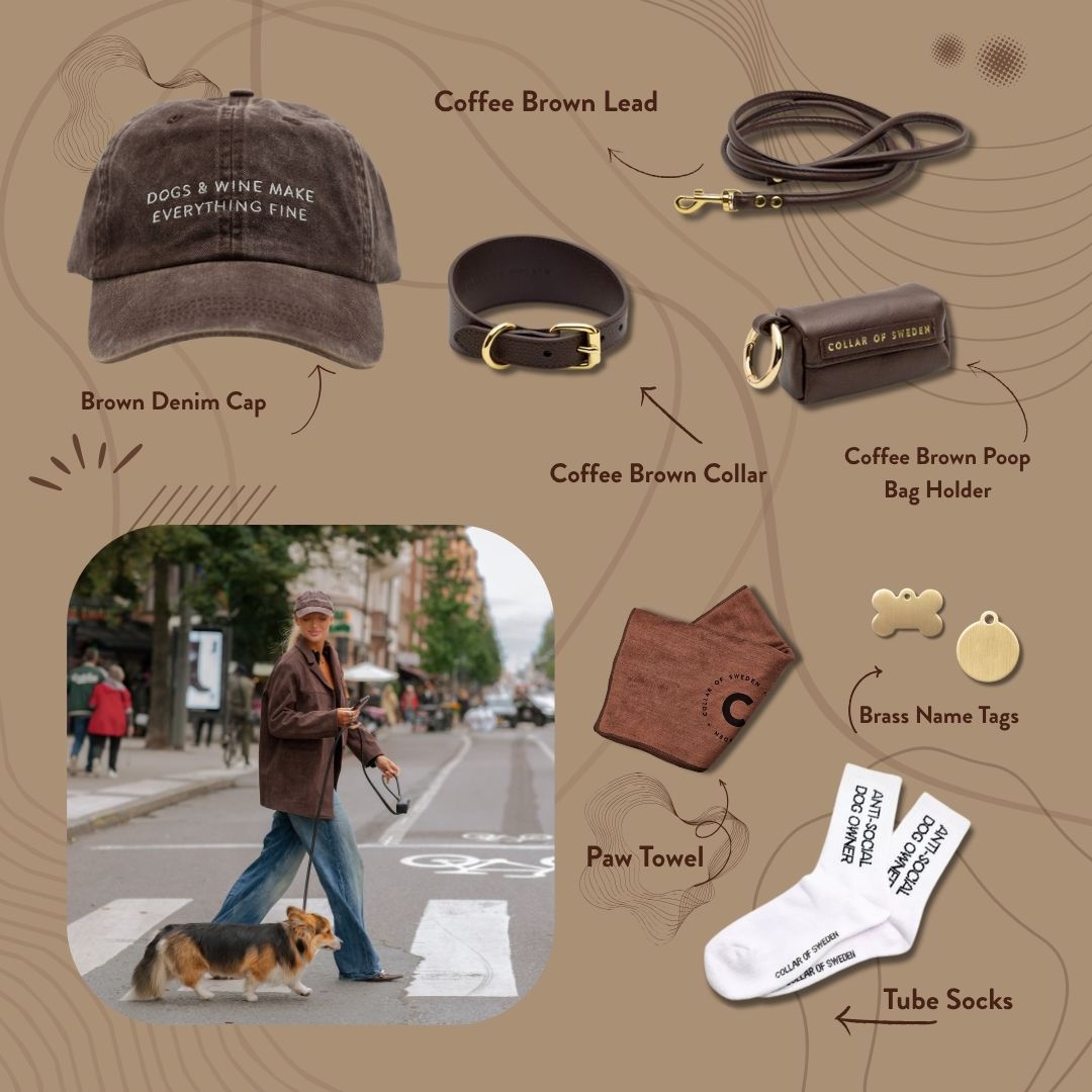 get-the.look-brown-edition-autumn.jpg