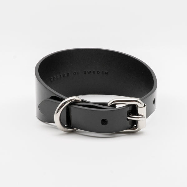 glossy-black-dog-collar-medium