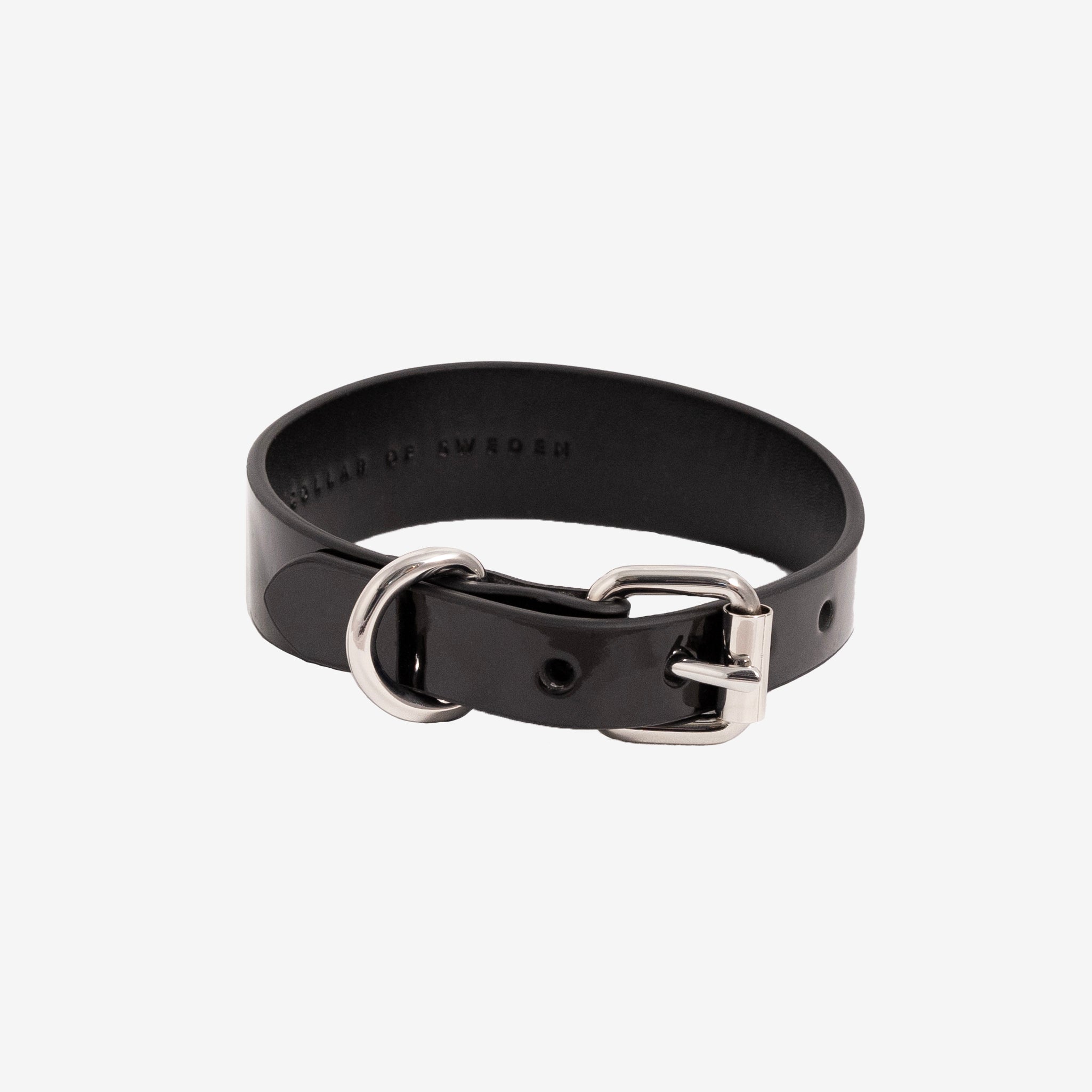 glossy-black-dog-collar-thin-buckle.jpg