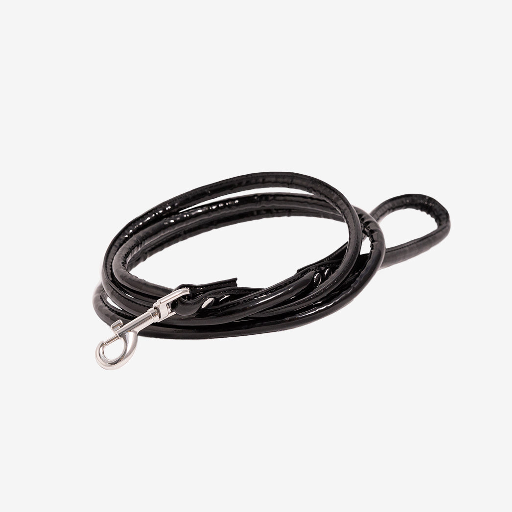 Glossy Black Dog Lead