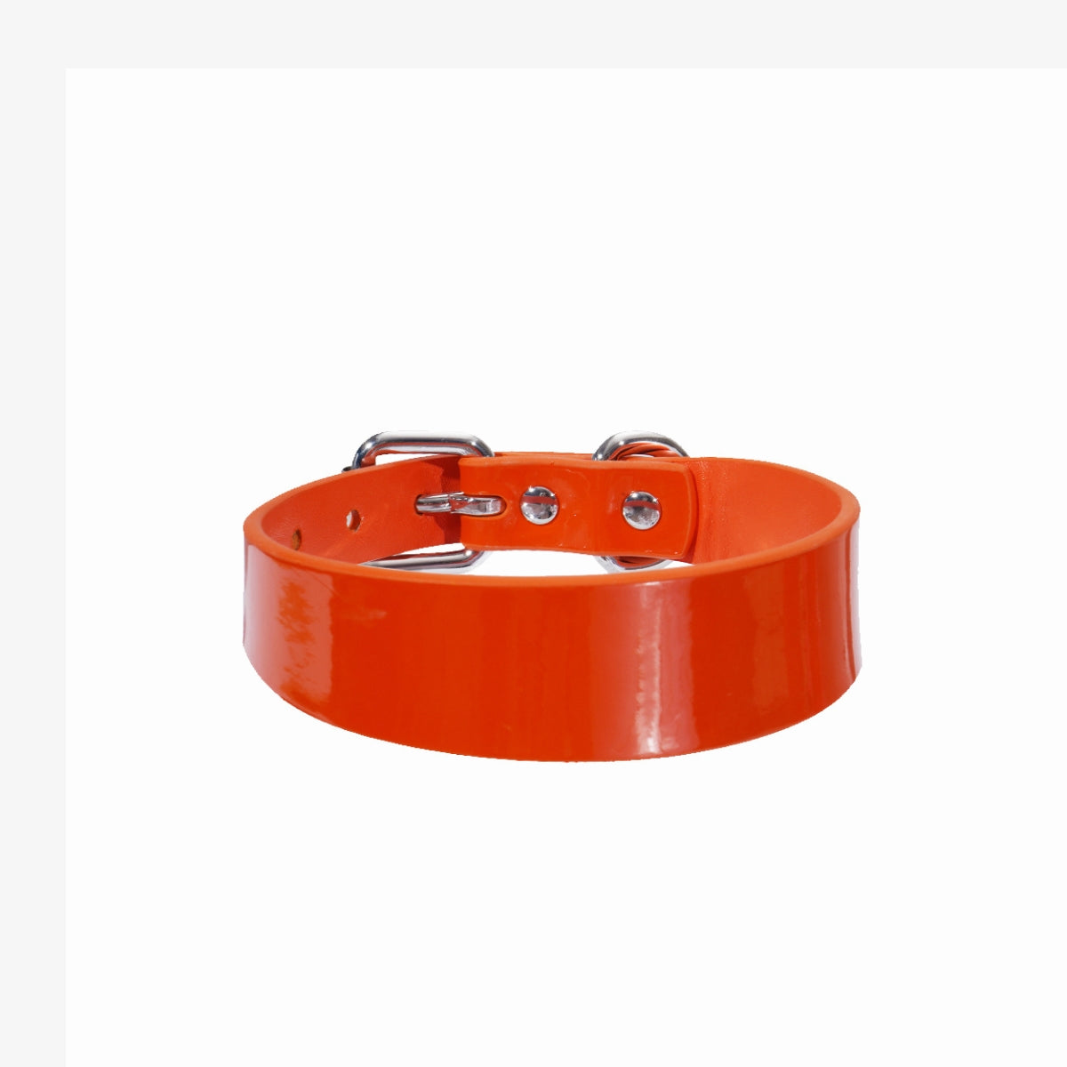 glossy-orange-dog-collar-medium-thin.jpg