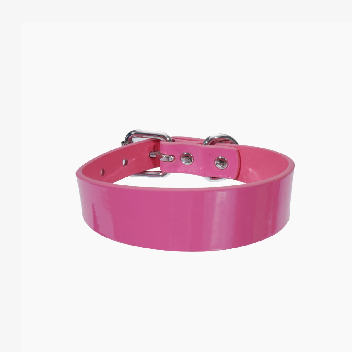 glossy-pink-dog-collar-medium-thin.jpg