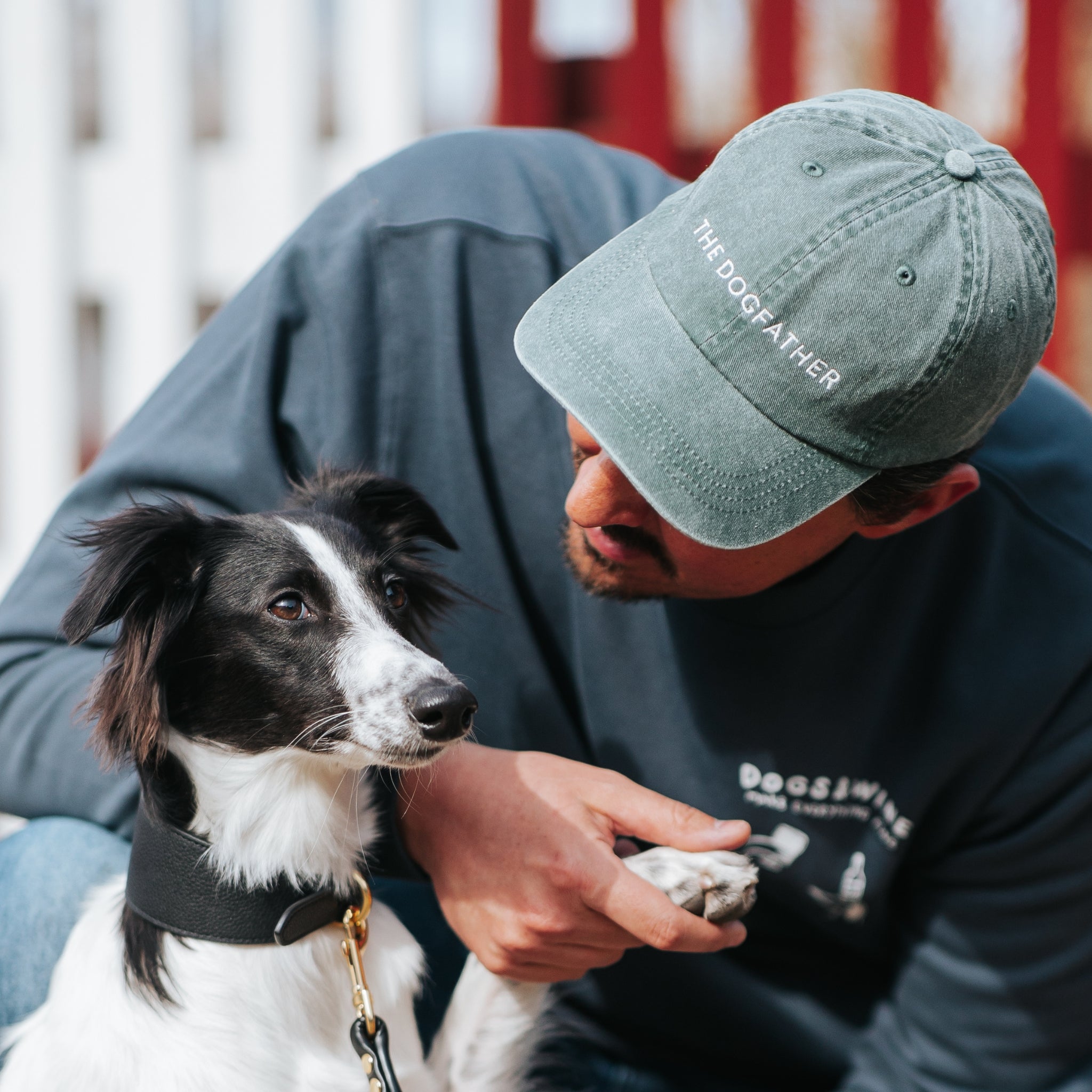 Cool Green Denim Cap - The Dogfather | Collar of Sweden
