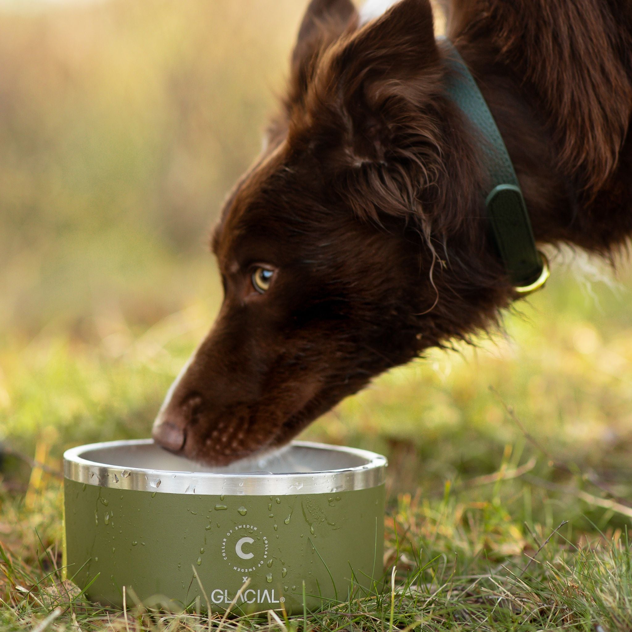 green-dog-bowl-light-weigth-for-travel.jpg