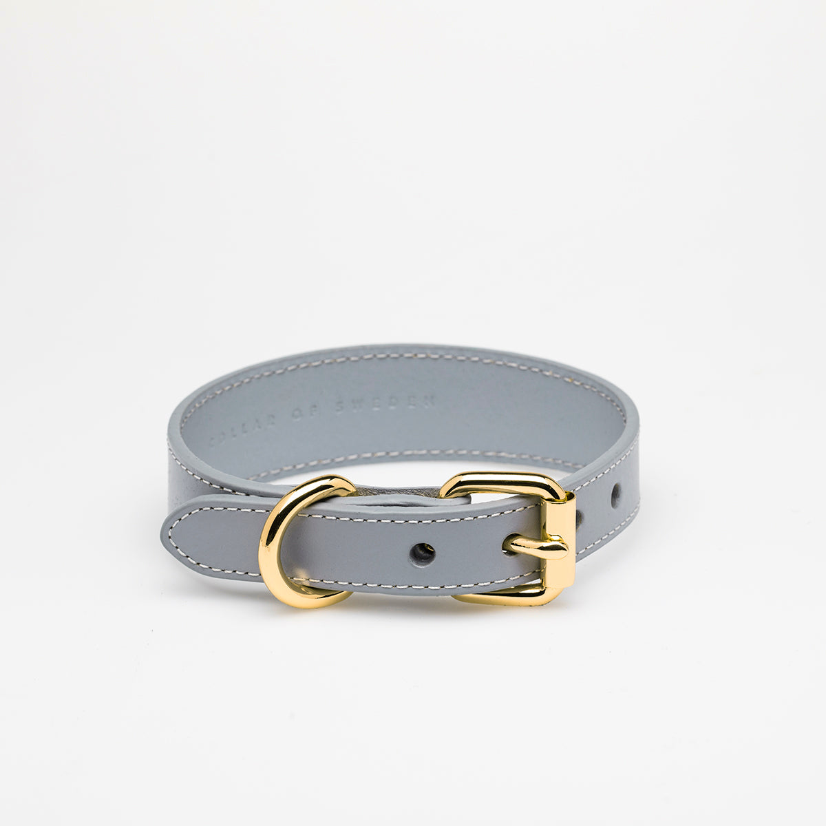 grey-dog-collar-medium-thin-buckle.jpg