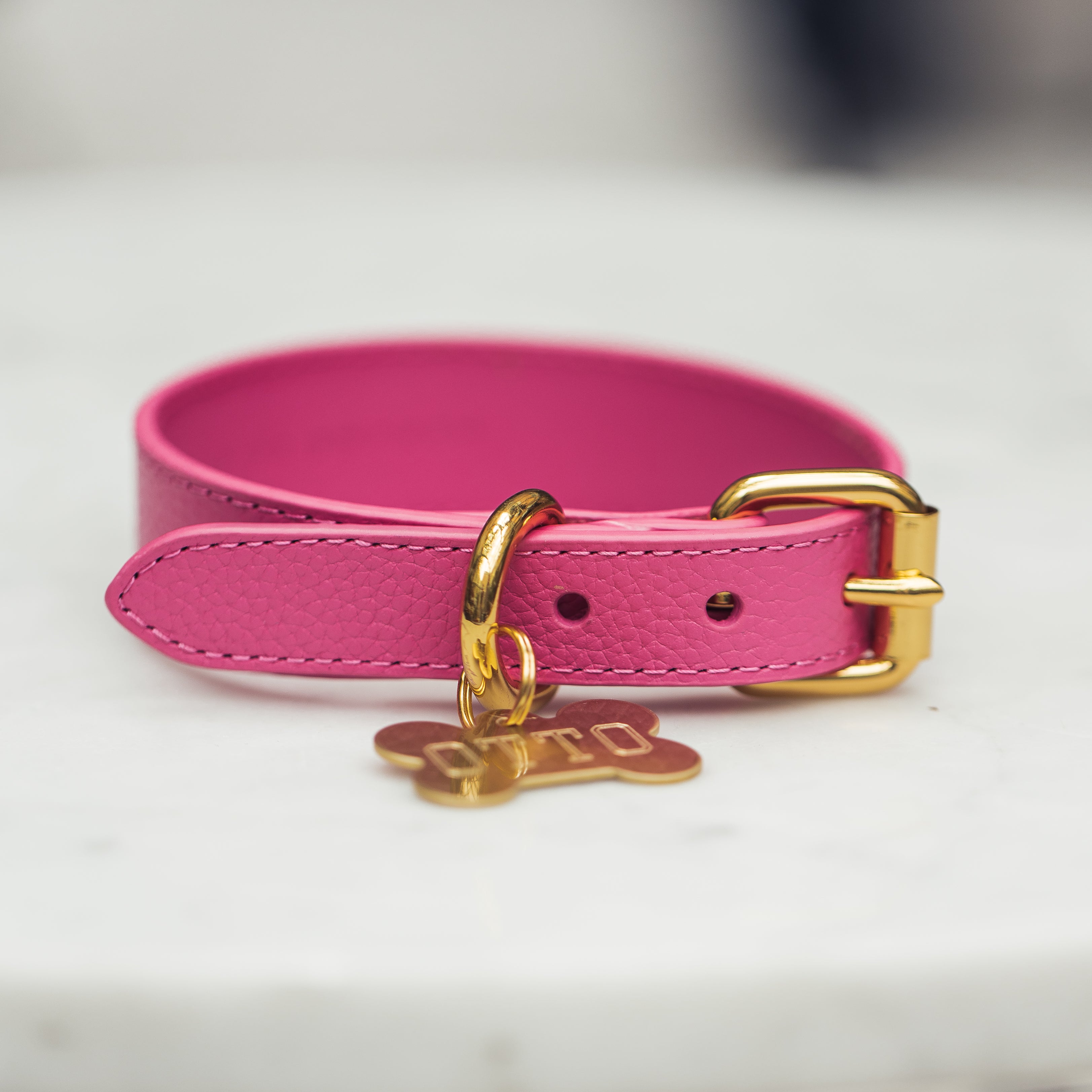 hot-pink-dog-collar-medium-thin-detail.jpg