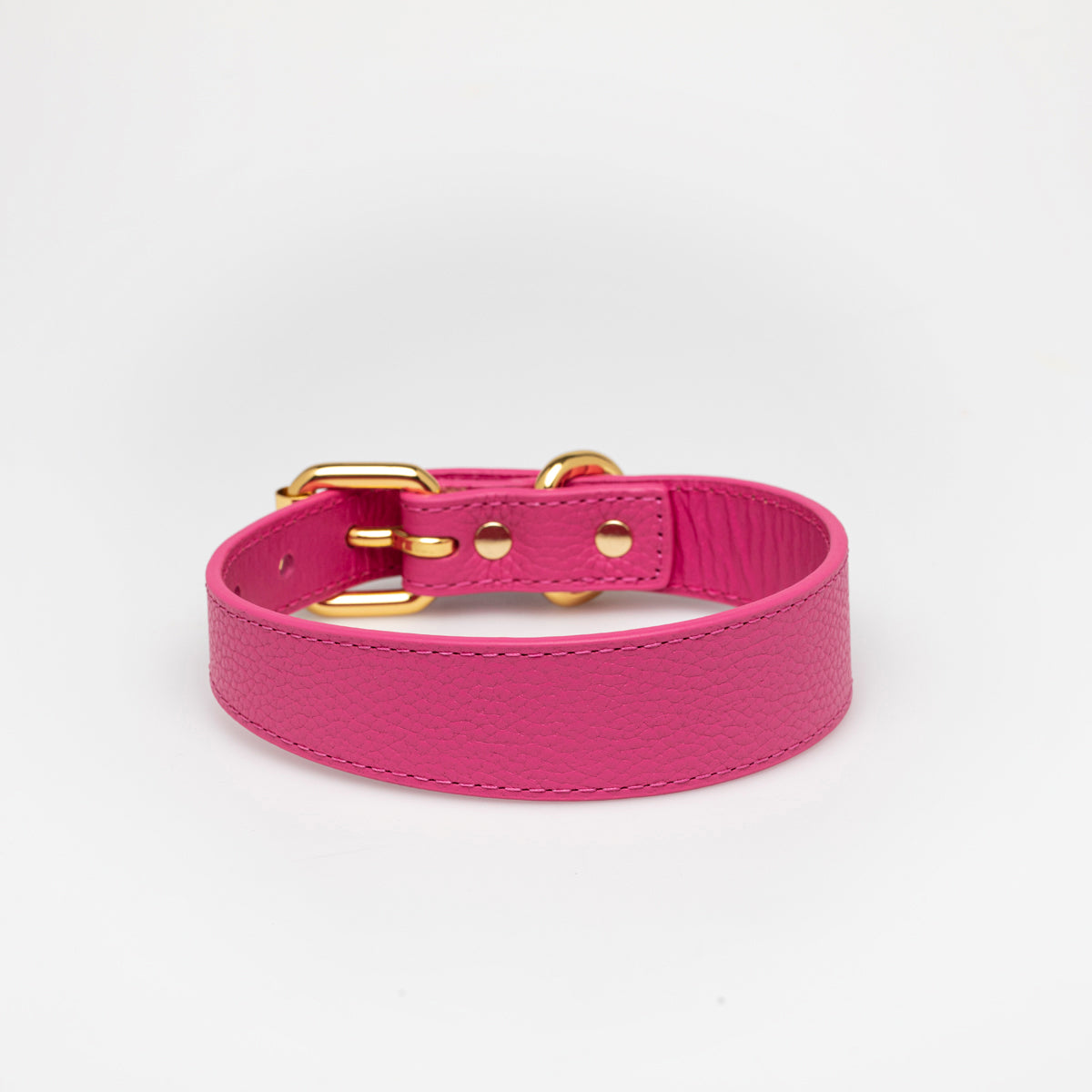 hot-pink-dog-collar-medium-thin.jpg