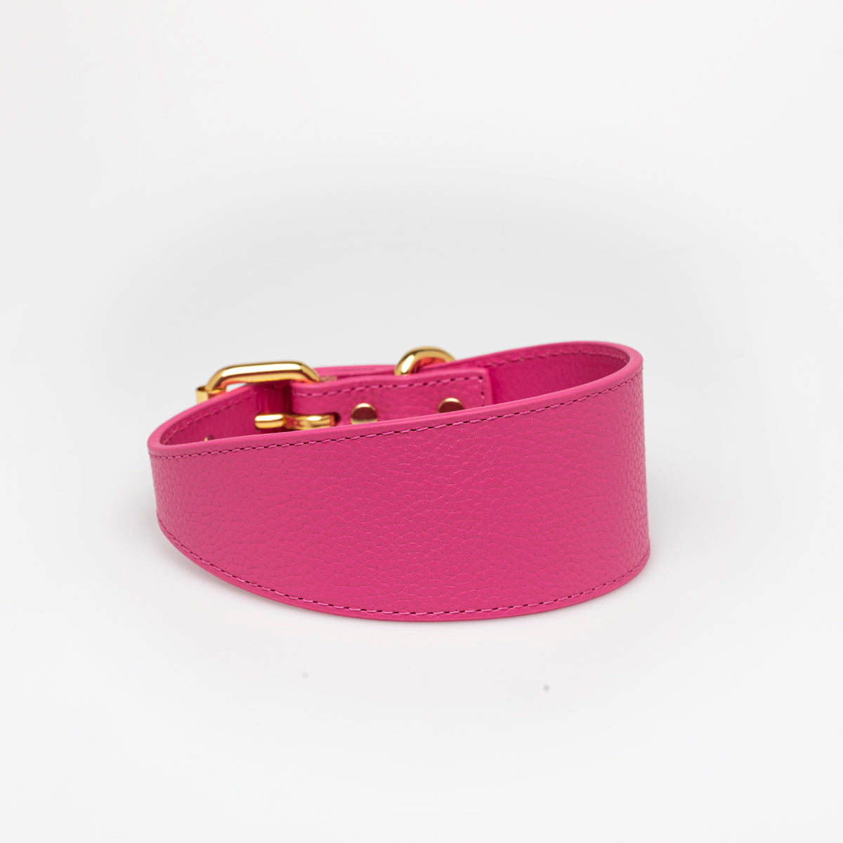 hot-pink-dog-collar-medium-wide.jpg