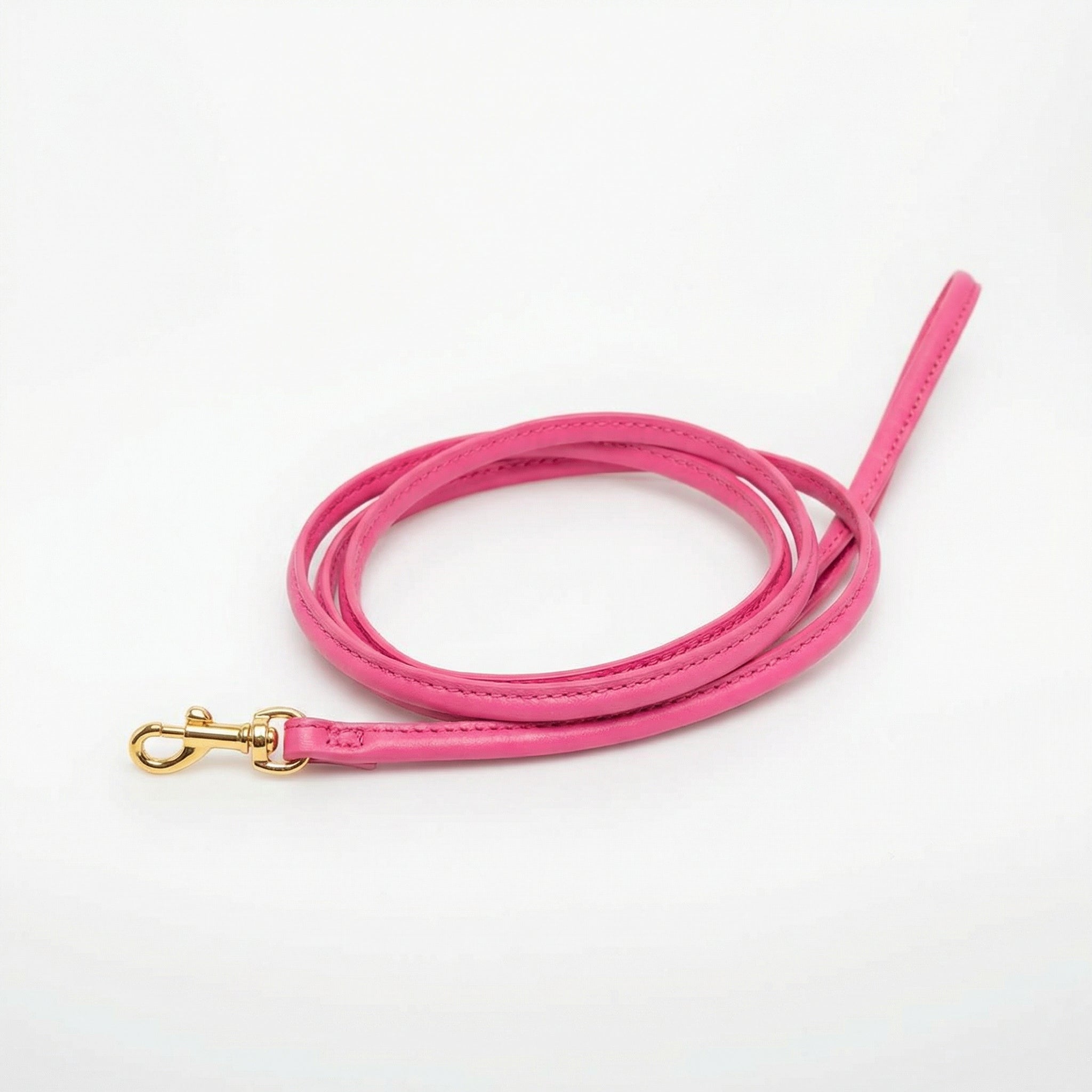 hot-pink-dog-lead-small-gold.jpg