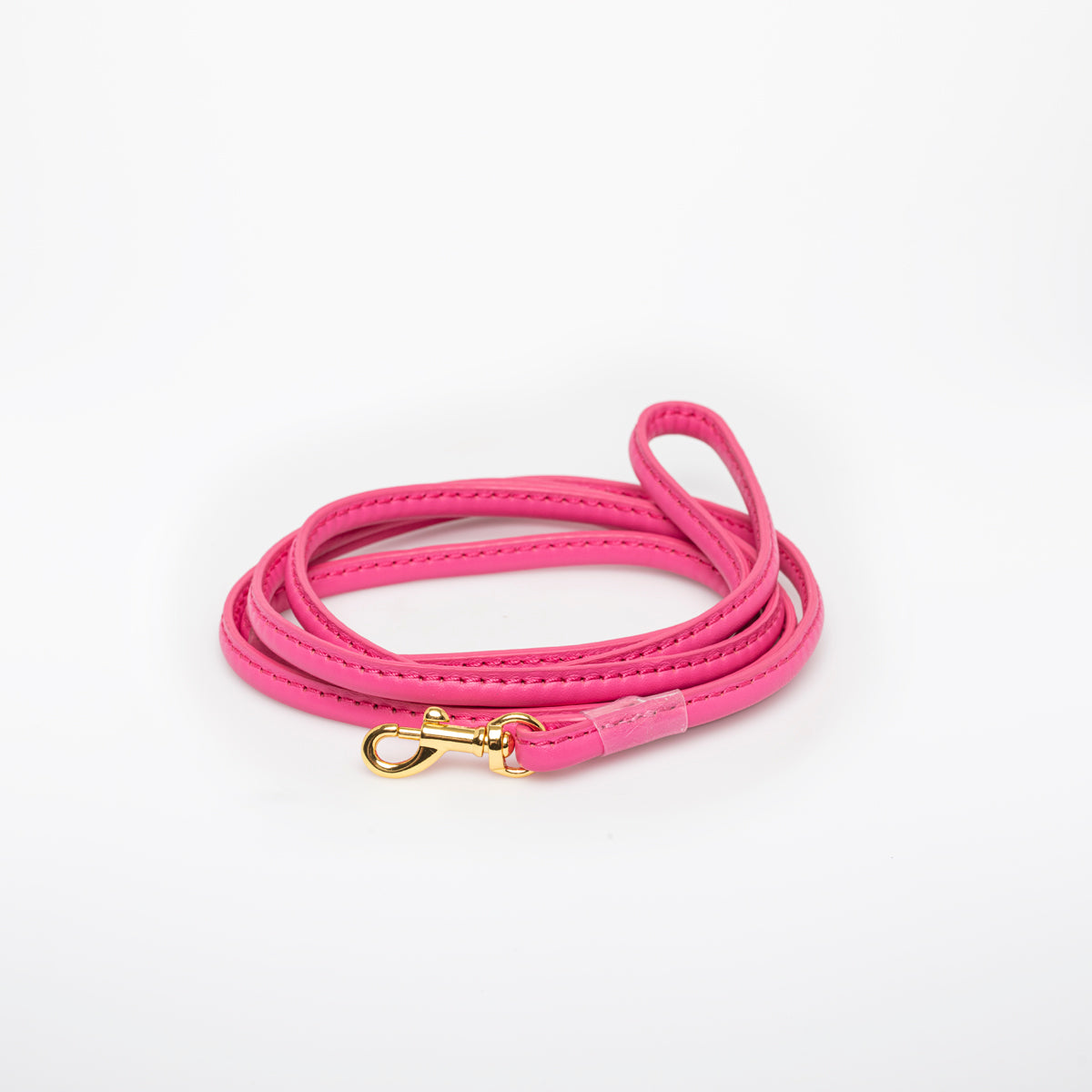 hot-pink-dog-leash-small.jpg