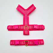 Hot Pink Y-Harness XS