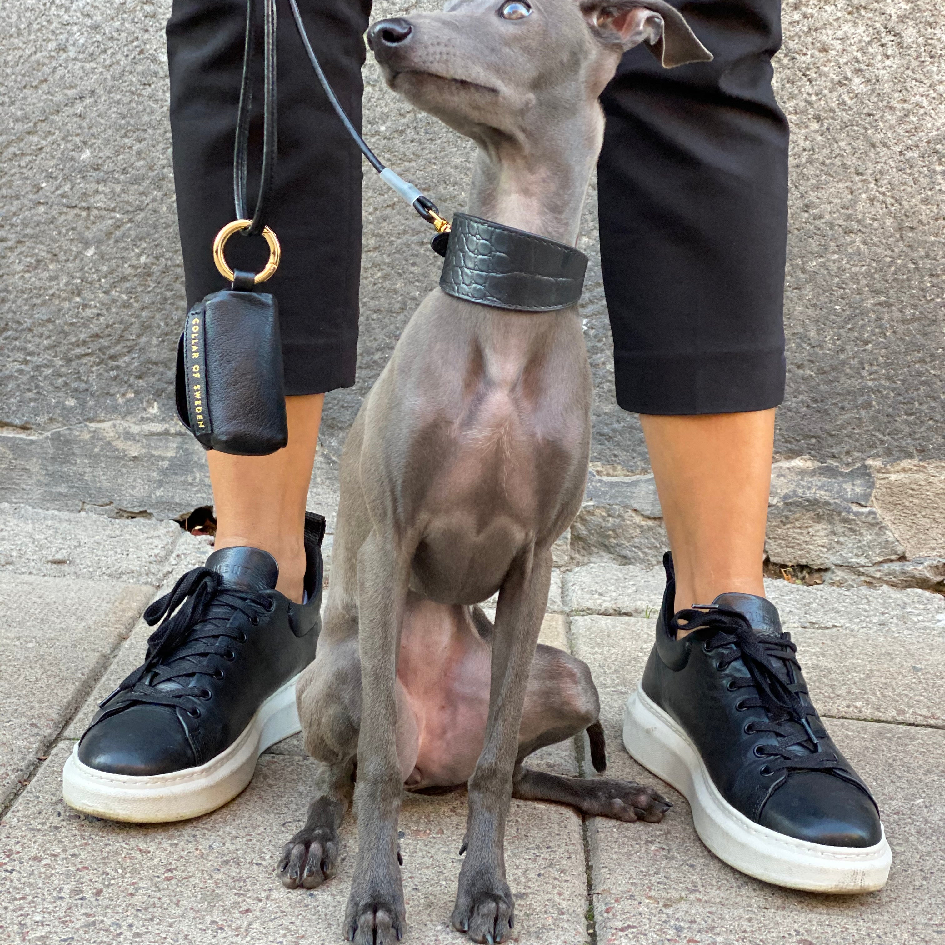 italian-greyhound-black-croco-dog-collar-xs-wide.jpg