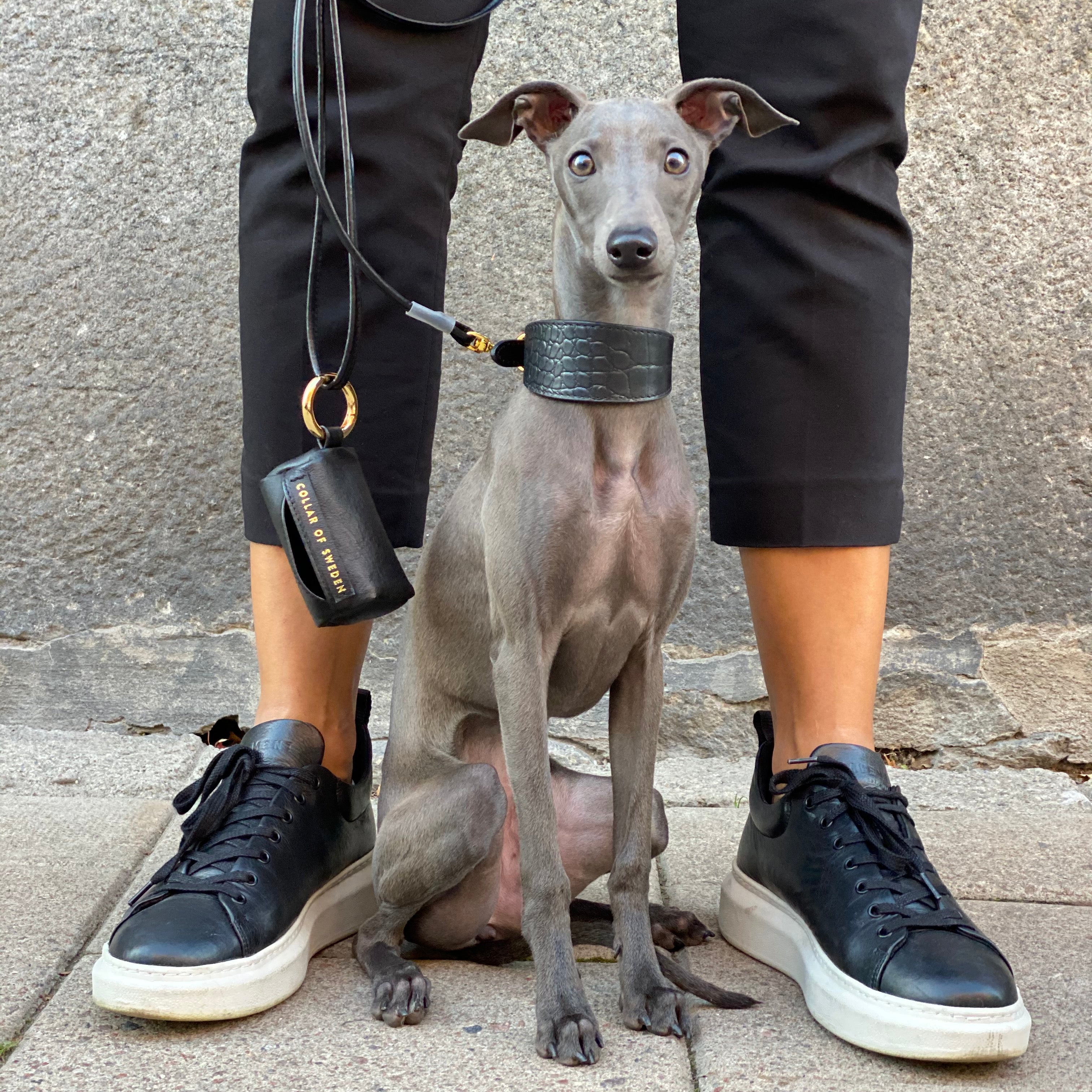 italian-greyhound-black-poop-bag-holder.jpg
