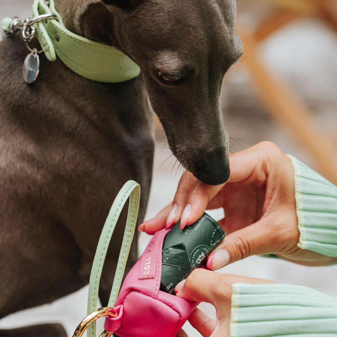italian-greyhound-hot-pink-poop-bag-holder.jpg