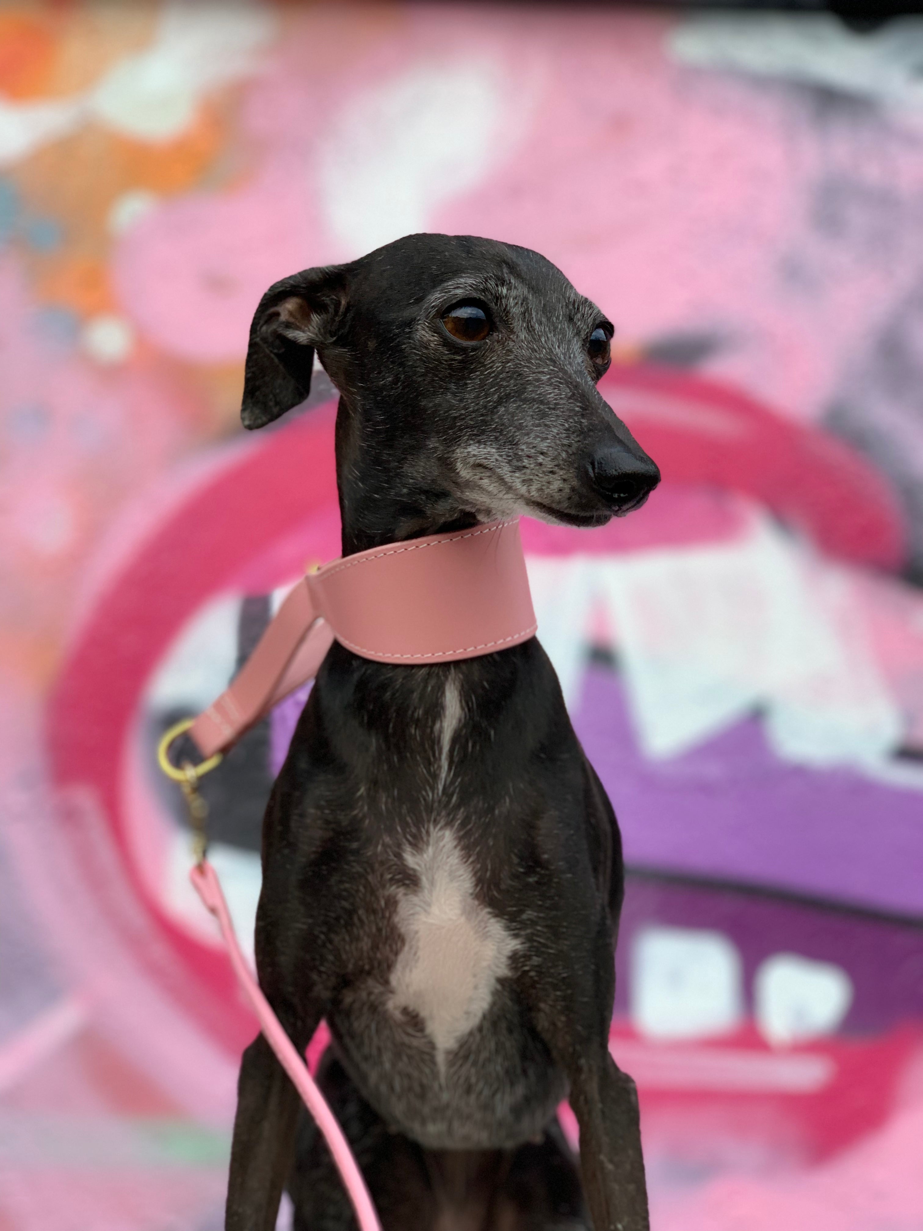 【OHGA】RUFFLE SHOULDER ラッフルショルダー ピンク Pink Dog Lead | Collar of Sweden