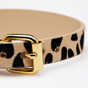 Leopard Dog Collar Thin