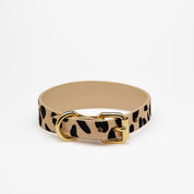 Leopard Dog Collar Thin