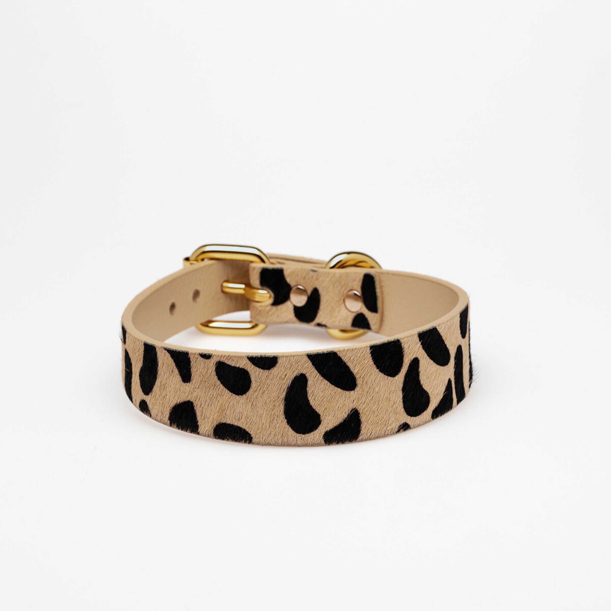 Leopard Dog Collar Thin