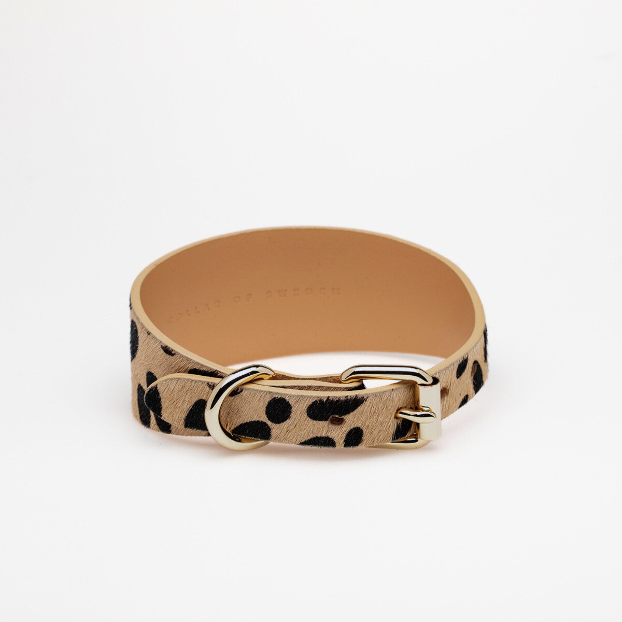 leopard-dog-collar-medium-wide-back.jpg