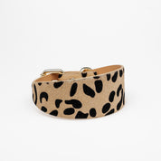 Leopard Dog Collar Wide