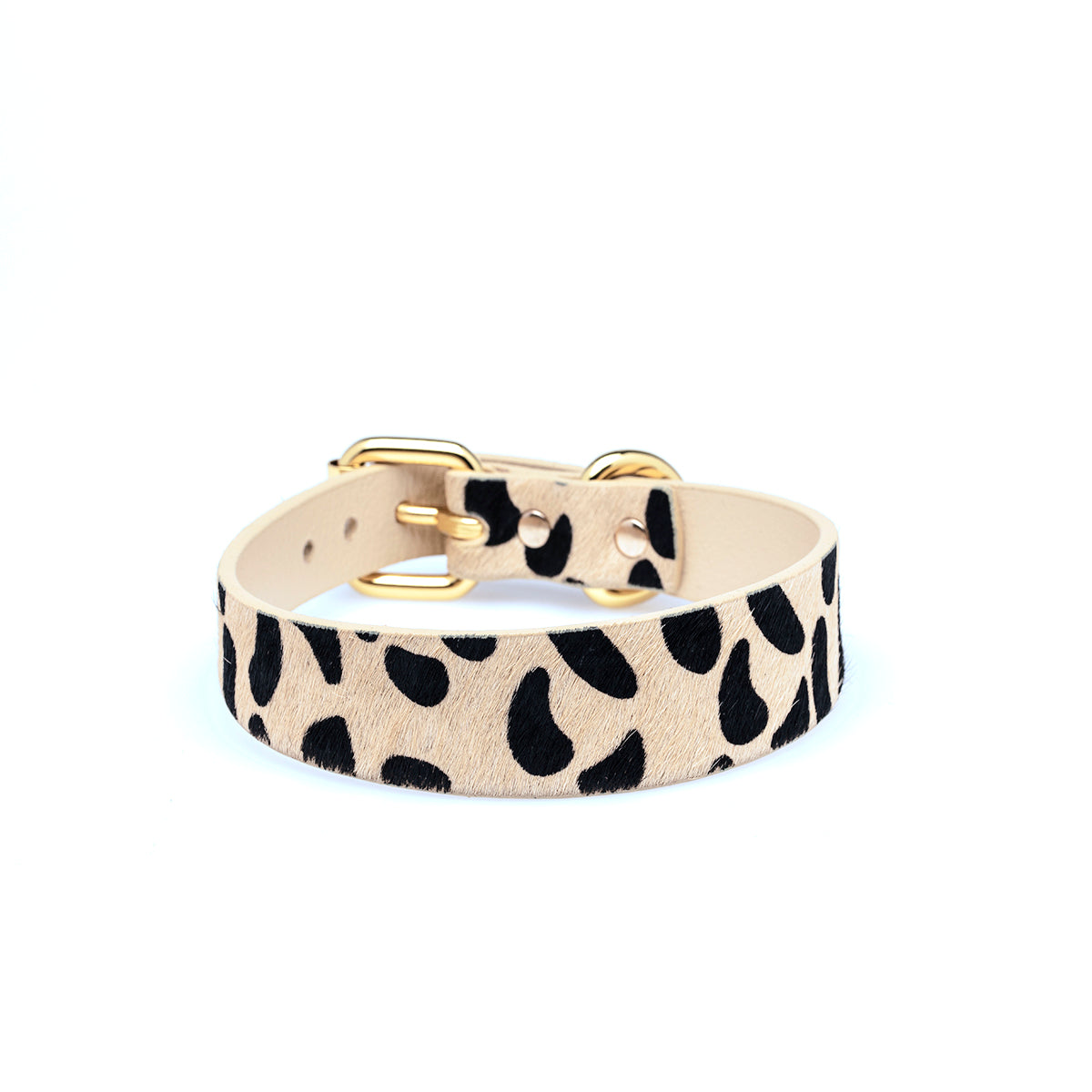 leopard-light-dog-collar-medium-thin.jpg